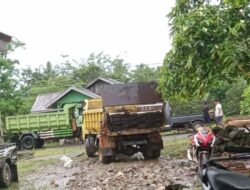 Oknum Polisi Polsek Maffa Diduga Berbisnis Kayu Ilegal, Pimpinan Bungkam